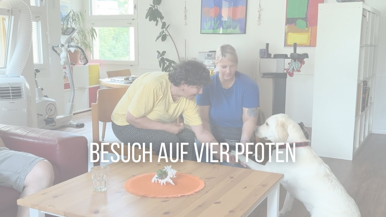 Besuch auf vier Pfoten